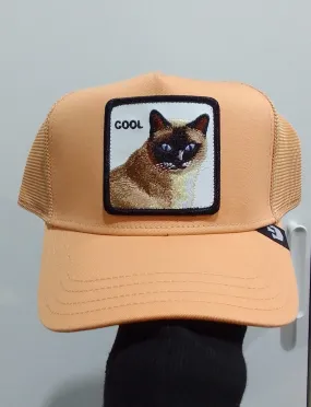 Cool Cat Gorra - GOORIN - 101-1438-APR