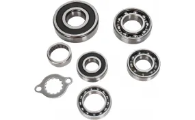 Transmission Bearing Kit HOT RODS 11060095